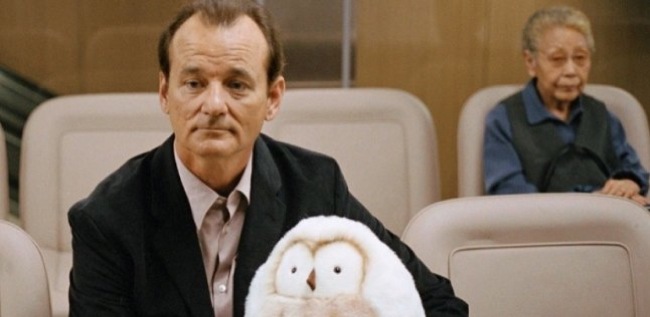 bill murray in lost in translation