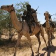 Darfur-camel-terrorist