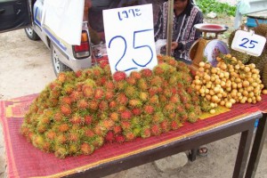 fury fruit in thailand