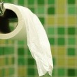 toilet paper roll