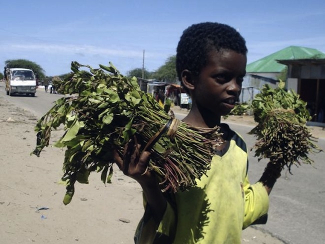 an boy in ethiopia selling a drug called khat