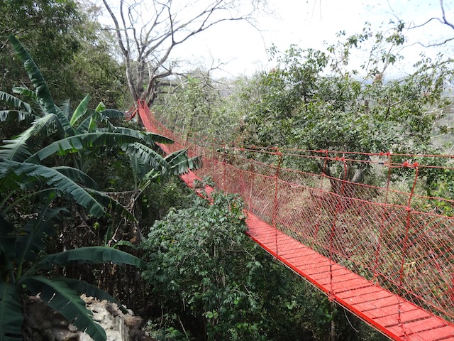a canopy bridge leading to the yoga deck