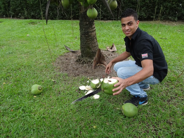 allen from Backpackers Resort cutting open a coconut