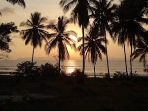 costa rican sunset through the palm trees