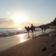 el-tunco-el-salvador-surfing