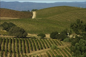 artesa-winery-views-1