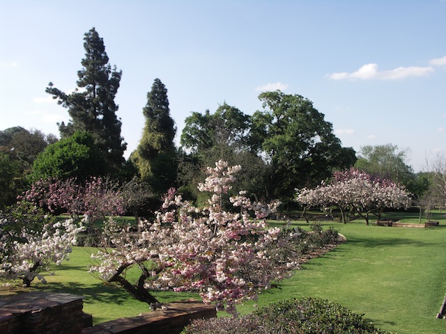 Joburg Botanical Garden