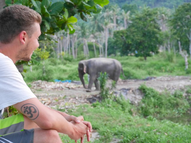 thailand-om-elephant