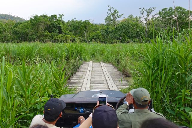 chitwan-nepal-safari